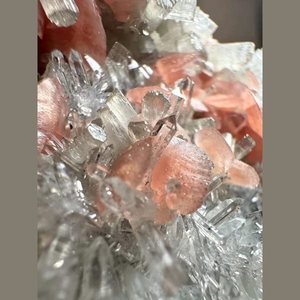 Pink Rhodochrosite Petals with Apatite 8.0 cm — detail view
