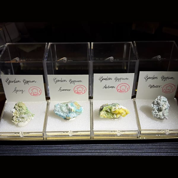 Four boxed Garden Gypsum creedite pieces — complete view