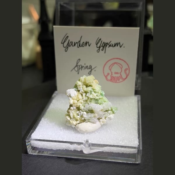 Four boxed Garden Gypsum creedite pieces — alternate view