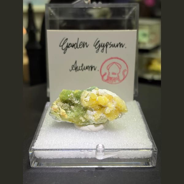 Four boxed Garden Gypsum creedite pieces — detail view