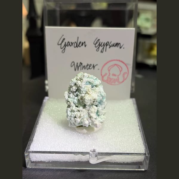 Four boxed Garden Gypsum creedite pieces — detail view