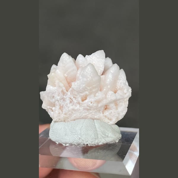 Pale pink dogtooth manganoan calcite rosette from Bulgaria — complete view