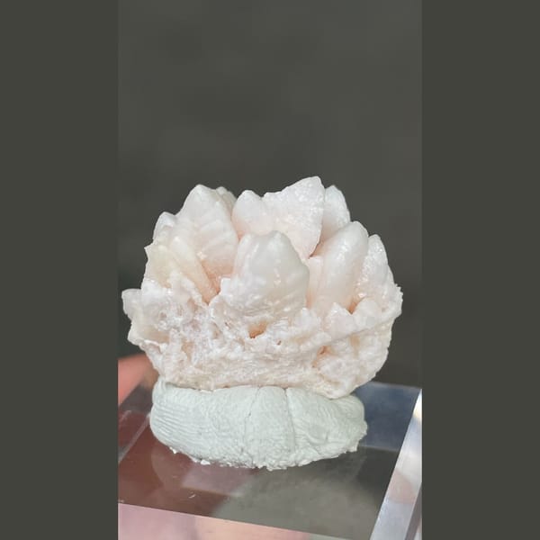 Pale pink dogtooth manganoan calcite rosette from Bulgaria — alternate view