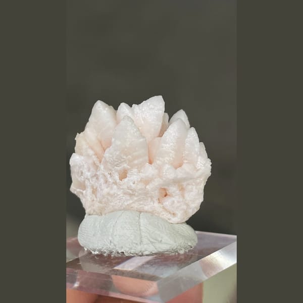 Pale pink dogtooth manganoan calcite rosette from Bulgaria — alternate view
