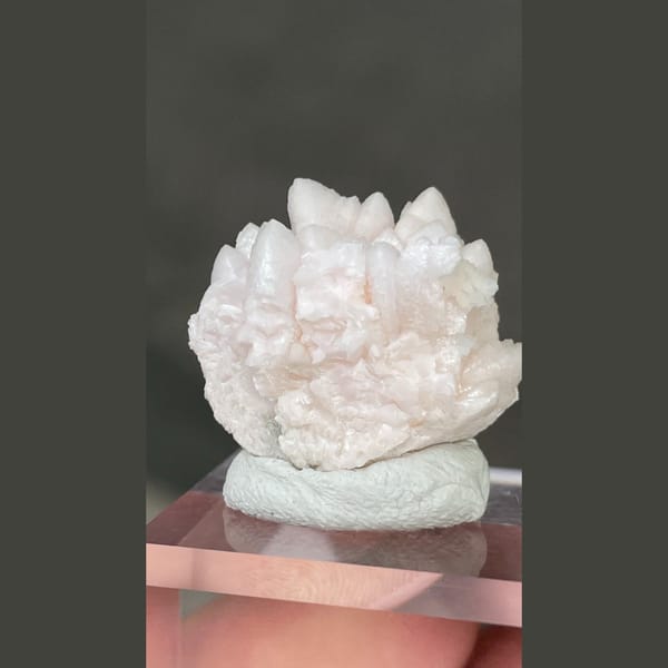Pale pink dogtooth manganoan calcite rosette from Bulgaria — detail view