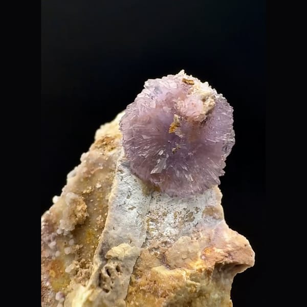 Purple creedite flower on pale matrix from Guizhou — alternate view