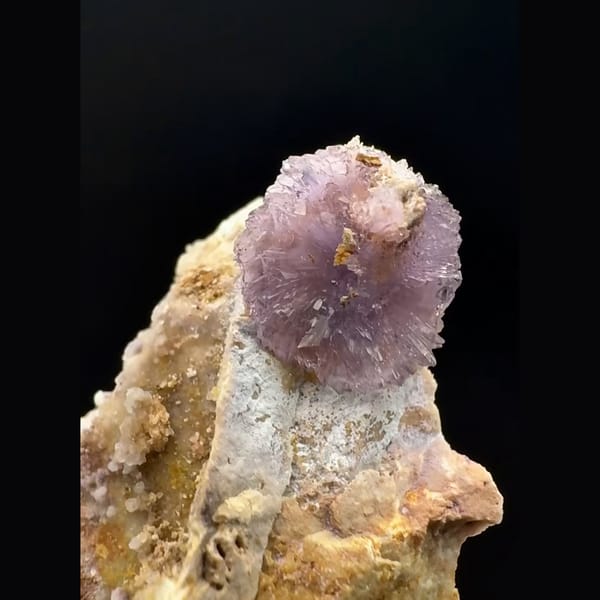 Purple creedite flower on pale matrix from Guizhou — alternate view