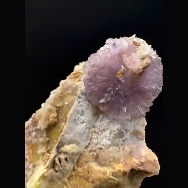 Purple creedite flower on pale matrix from Guizhou — detail view