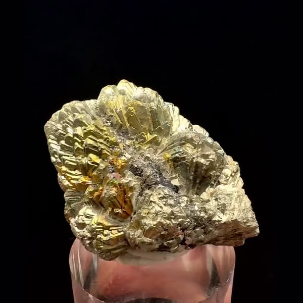 Flower-shaped bladed pyrite after marcasite from Pakistan — alternate view