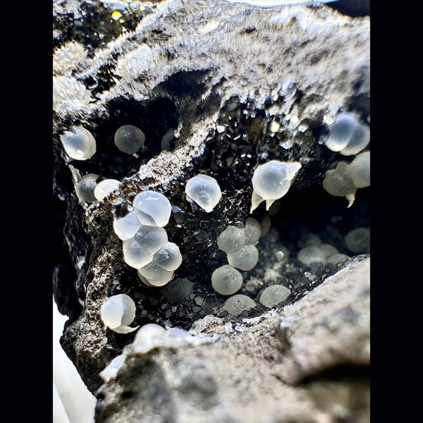 Thomsonite and Analcime in Basalt Zhejiang 4.0 cm — detail view