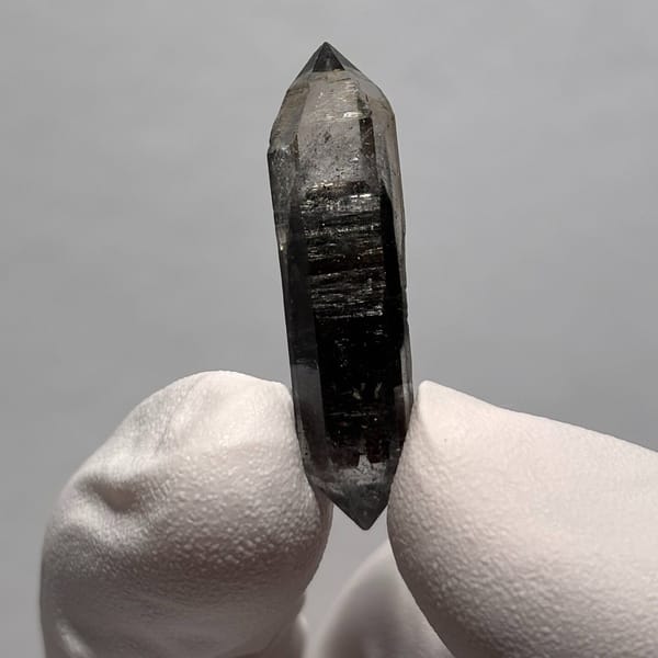 Tip-chip sugar-core DT Yunnan D — alternate view