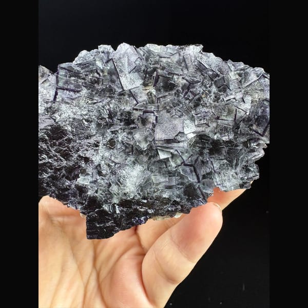 Plate of dark cubic fluorite with purple edges from Inner Mongolia — alternate view