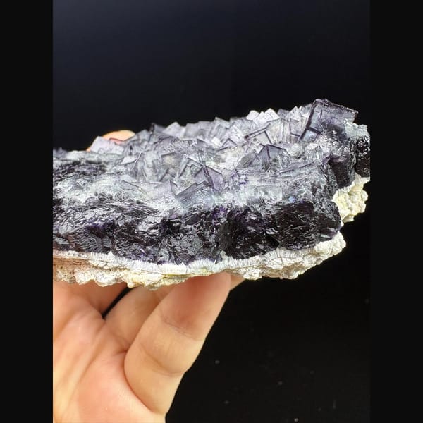 Plate of dark cubic fluorite with purple edges from Inner Mongolia — detail view