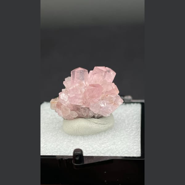 Small cluster of pink cobaltoan calcite crystals from Morocco — complete view