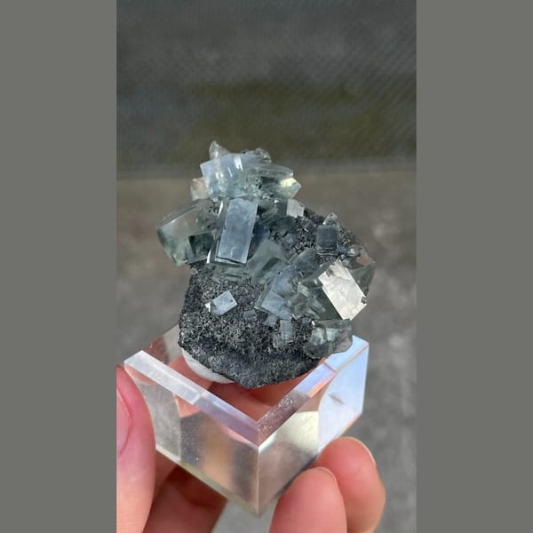 Transparent teal fluorite crystals on dark matrix from Hunan — detail view