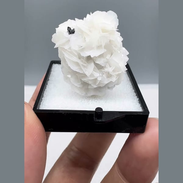 Petal Calcite with Wolframite Yaogangxian 2.9 cm — complete view