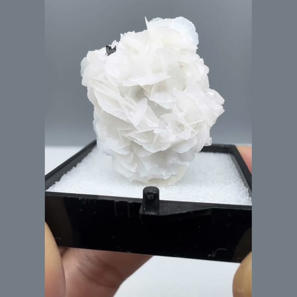 Petal Calcite with Wolframite Yaogangxian 2.9 cm — alternate view