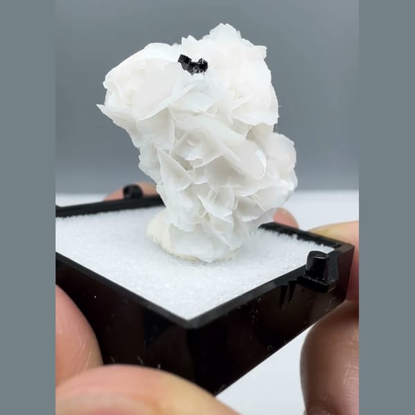 Petal Calcite with Wolframite Yaogangxian 2.9 cm — detail view