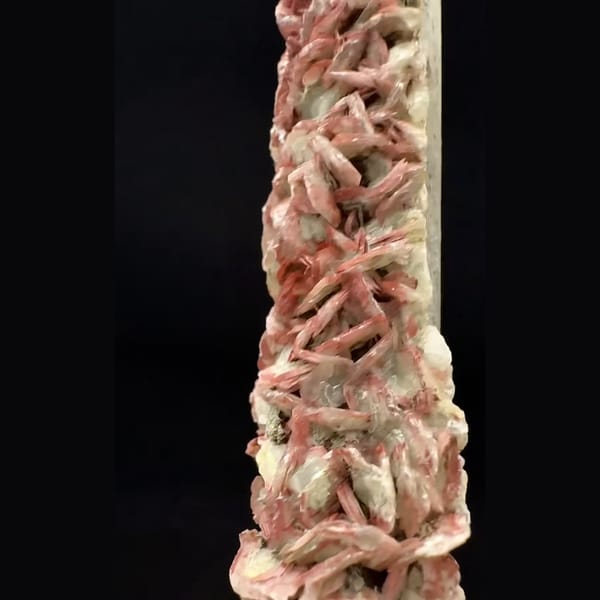 Long frosted quartz crystal with red bladed calcite from Inner Mongolia — detail view