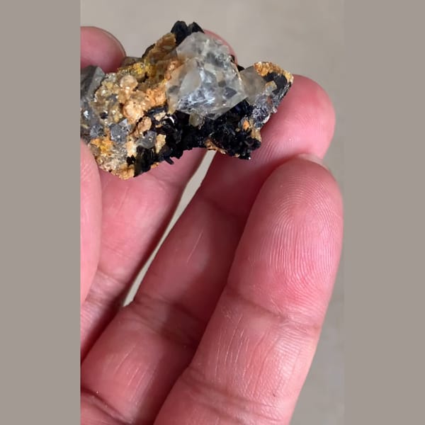 Fluorite with Wolframite Yaogangxian 3.6 cm — complete view