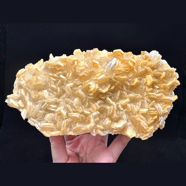 Pale yellow layered calcite blades on a plate from Fujian — complete view