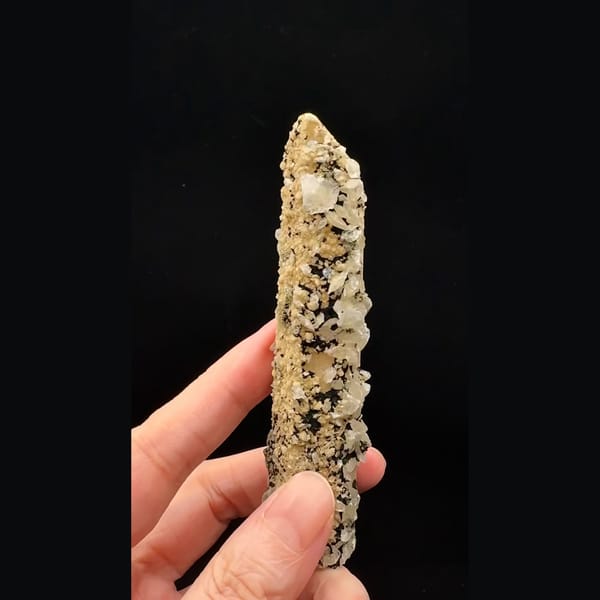 Tall quartz crystal crusted with bladed calcite and golden dolomite from Inner Mongolia — alternate view
