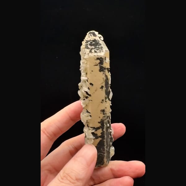 Tall quartz crystal crusted with bladed calcite and golden dolomite from Inner Mongolia — alternate view