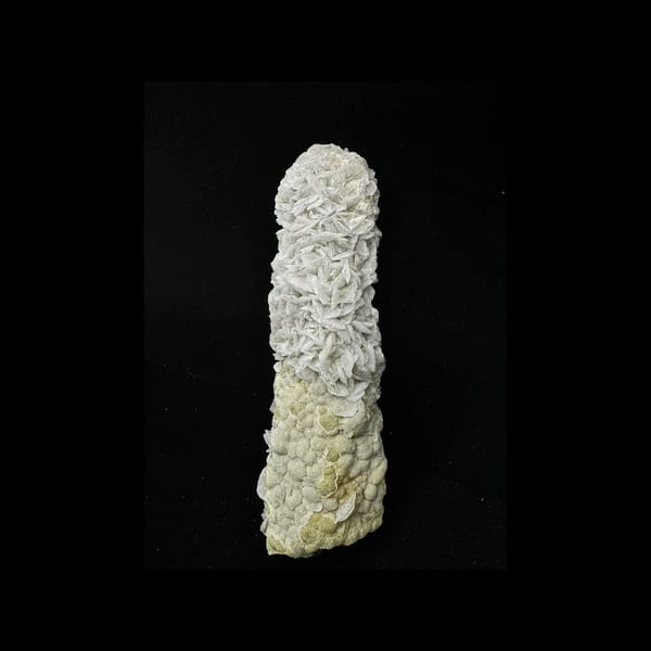 Green-coated quartz with white calcite petals from Inner Mongolia — complete calcite-rich front view