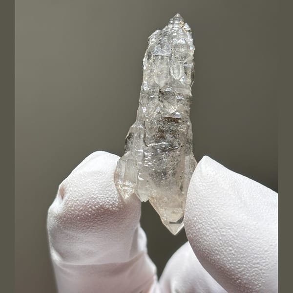 Skeletal freestanding DT Yunnan A — alternate view