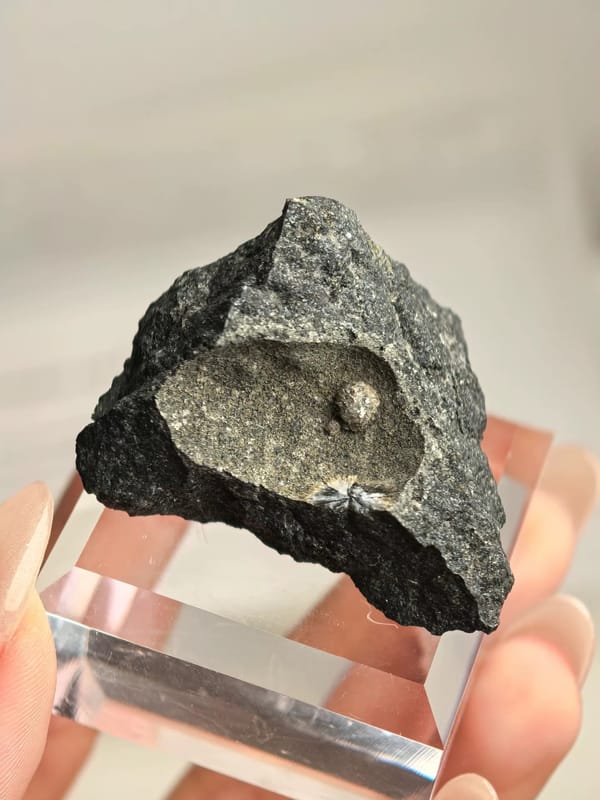 Chlorite-Coated Spherical Calcite in Matrix Pocket — individual mineral specimen view 1