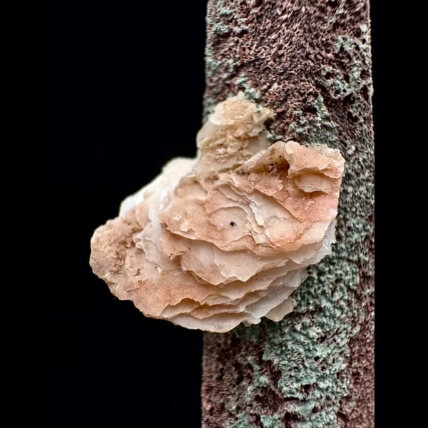 Mauve-skinned quartz floater with pink petal calcite from Inner Mongolia — alternate view