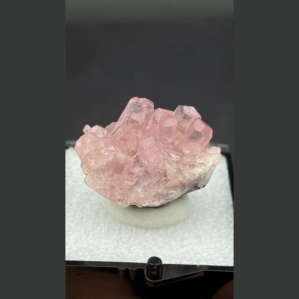 Cluster of glassy pink cobaltoan calcite from Morocco — complete view