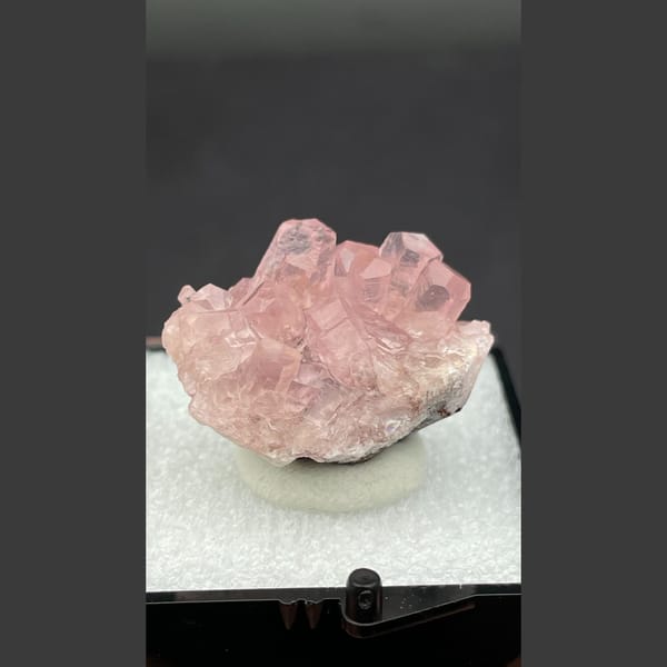 Cluster of glassy pink cobaltoan calcite from Morocco — detail view
