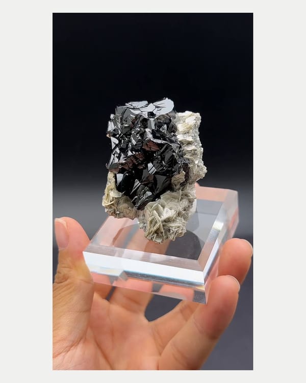 Complete front view of black Xuebaoding cassiterite with mica