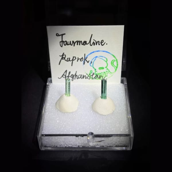 Pair of green tourmaline crystals — complete view