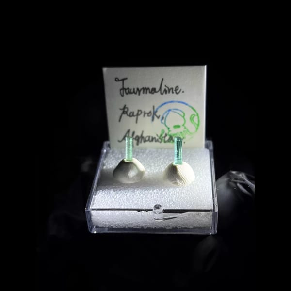 Pair of green tourmaline crystals — alternate view