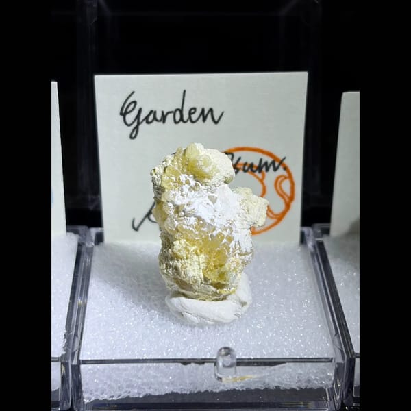 Four small Garden Gypsum creedite pieces — detail view