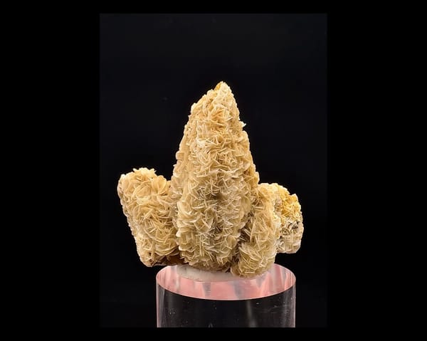Complete front of yellow petal calcite over a tapered white calcite core, Inner Mongolia