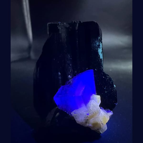 Wolframite with Fluorite and Apatite Yaogangxian 5.2 cm — complete view