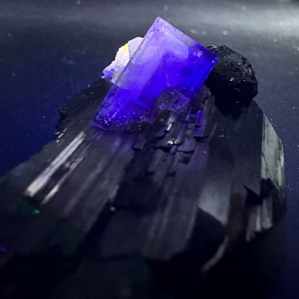 Wolframite with Fluorite and Apatite Yaogangxian 5.2 cm — alternate view