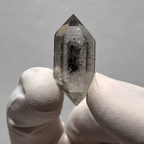 Sugar-core DT Yunnan Z — complete view
