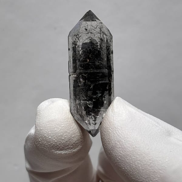 Sugar-core DT Yunnan AA — complete view