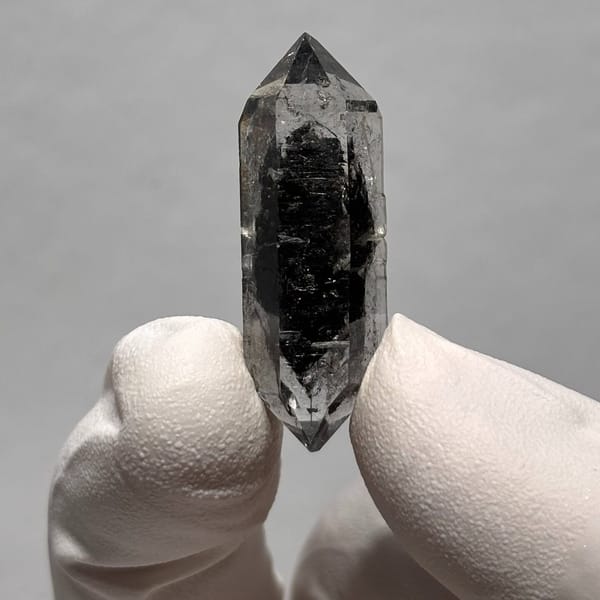 Sugar-core DT Yunnan AA — alternate view