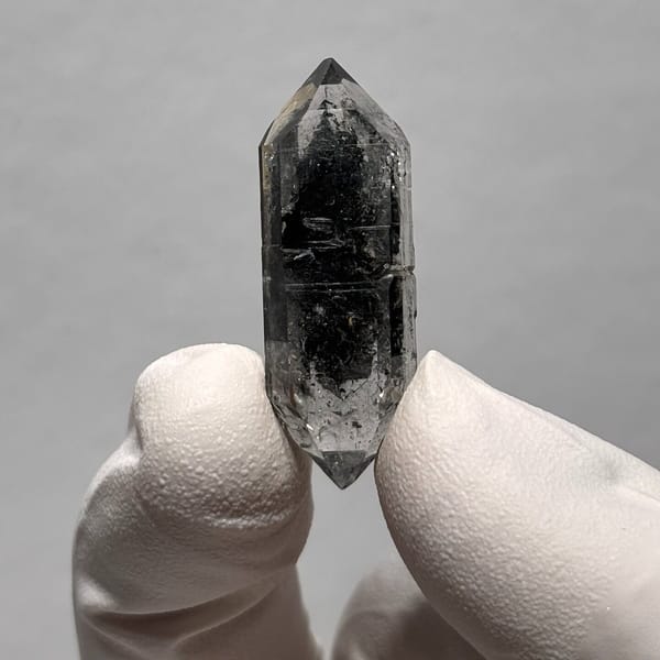 Sugar-core DT Yunnan AA — alternate view