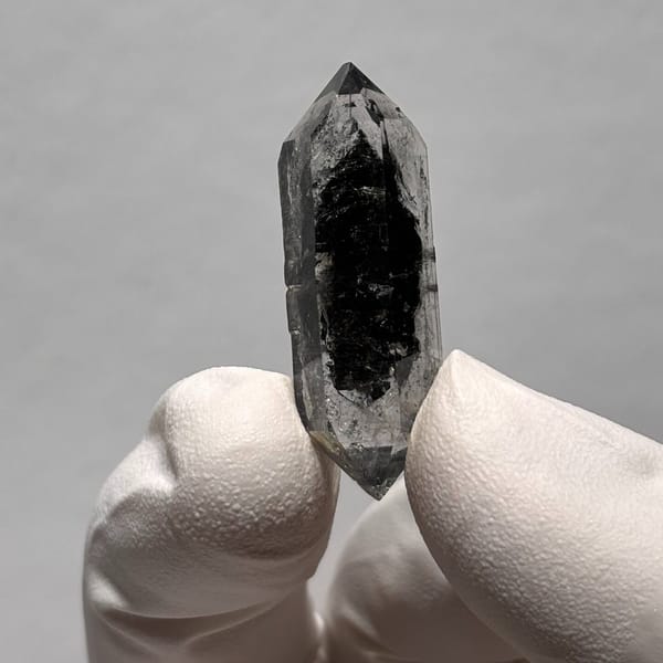 Sugar-core DT Yunnan AA — detail view