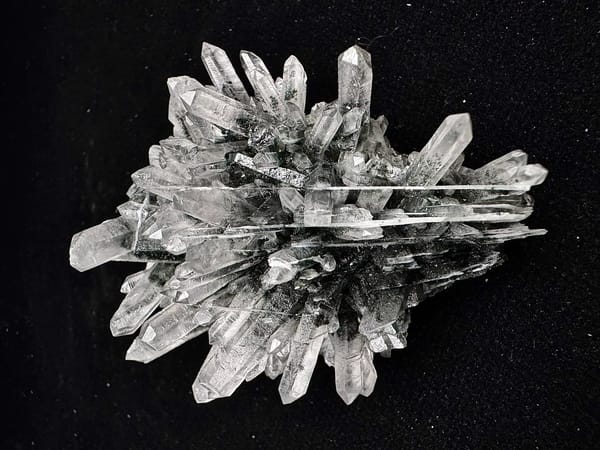 Complete side showing long clear quartz points and their dark green included bases