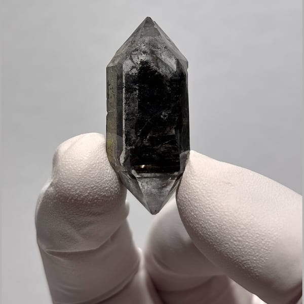 Sugar-core DT Yunnan AB — alternate view