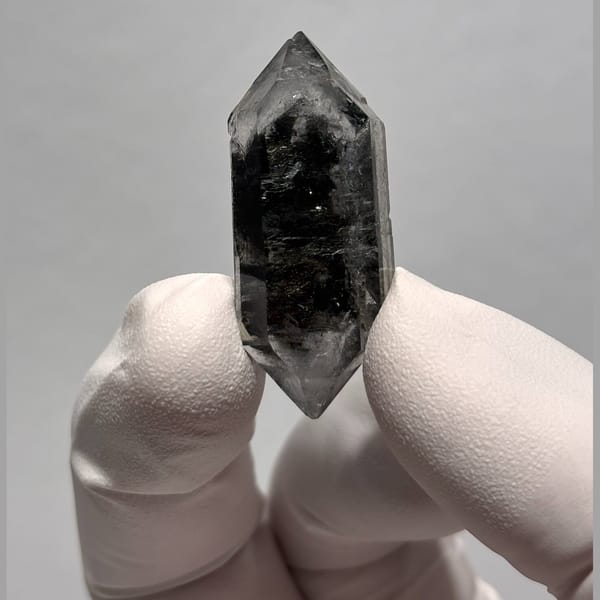 Sugar-core DT Yunnan AB — alternate view