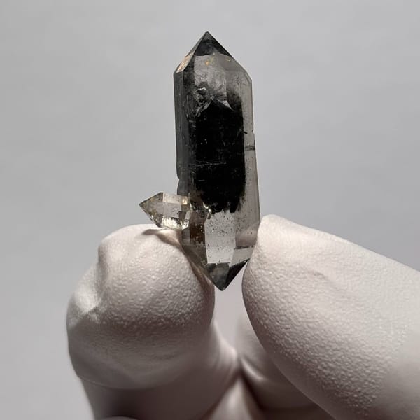 Sugar-core DT Yunnan AC — complete view