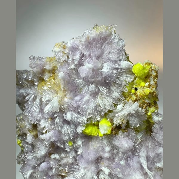 Pink-Purple Creedite with Carlhintzeite 7.5 cm — detail view